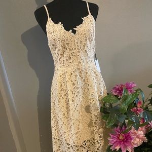 A S T R Open Crochet Dress